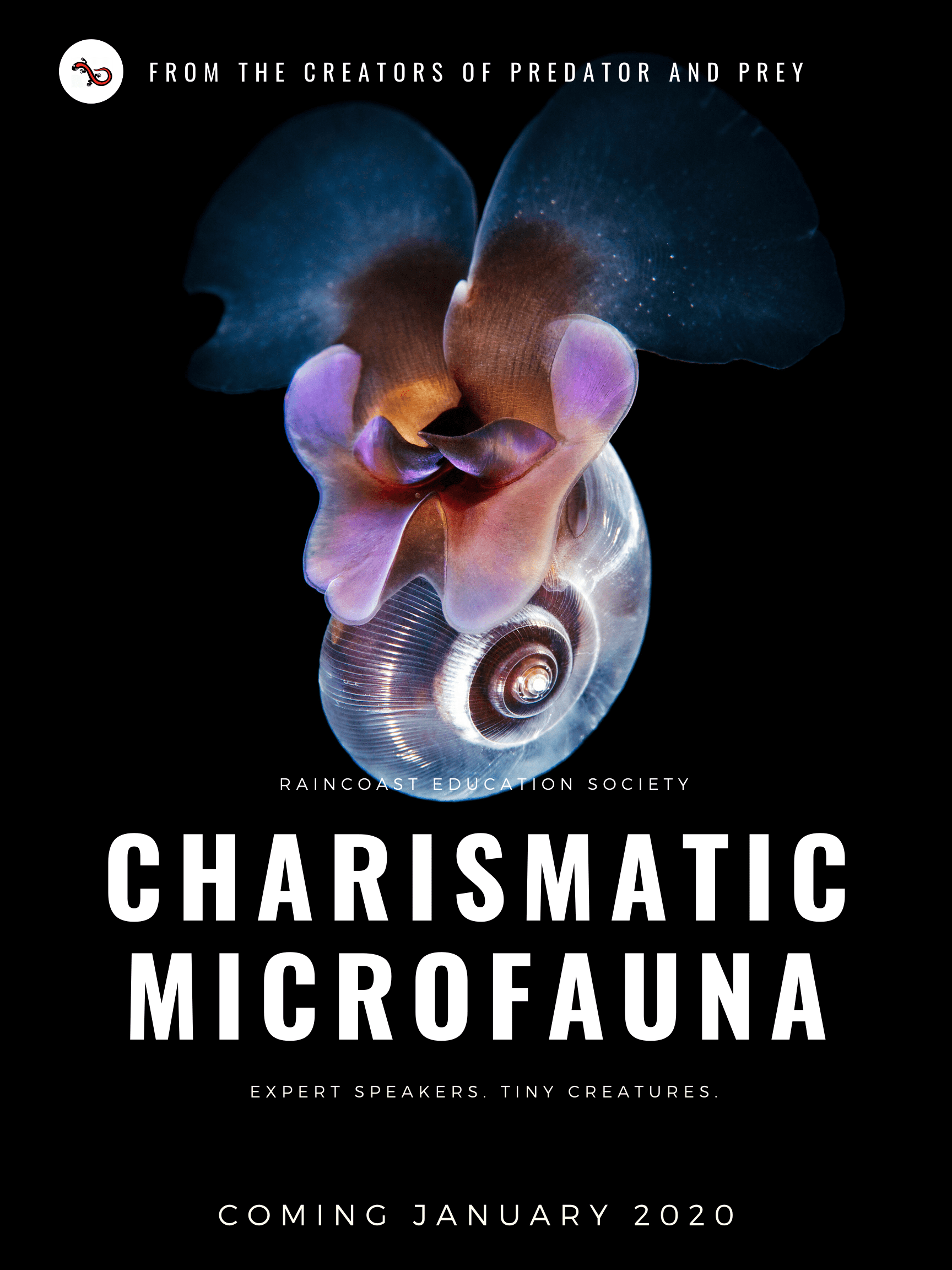 Charismatic microfauna