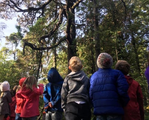 Ucluelet Field School