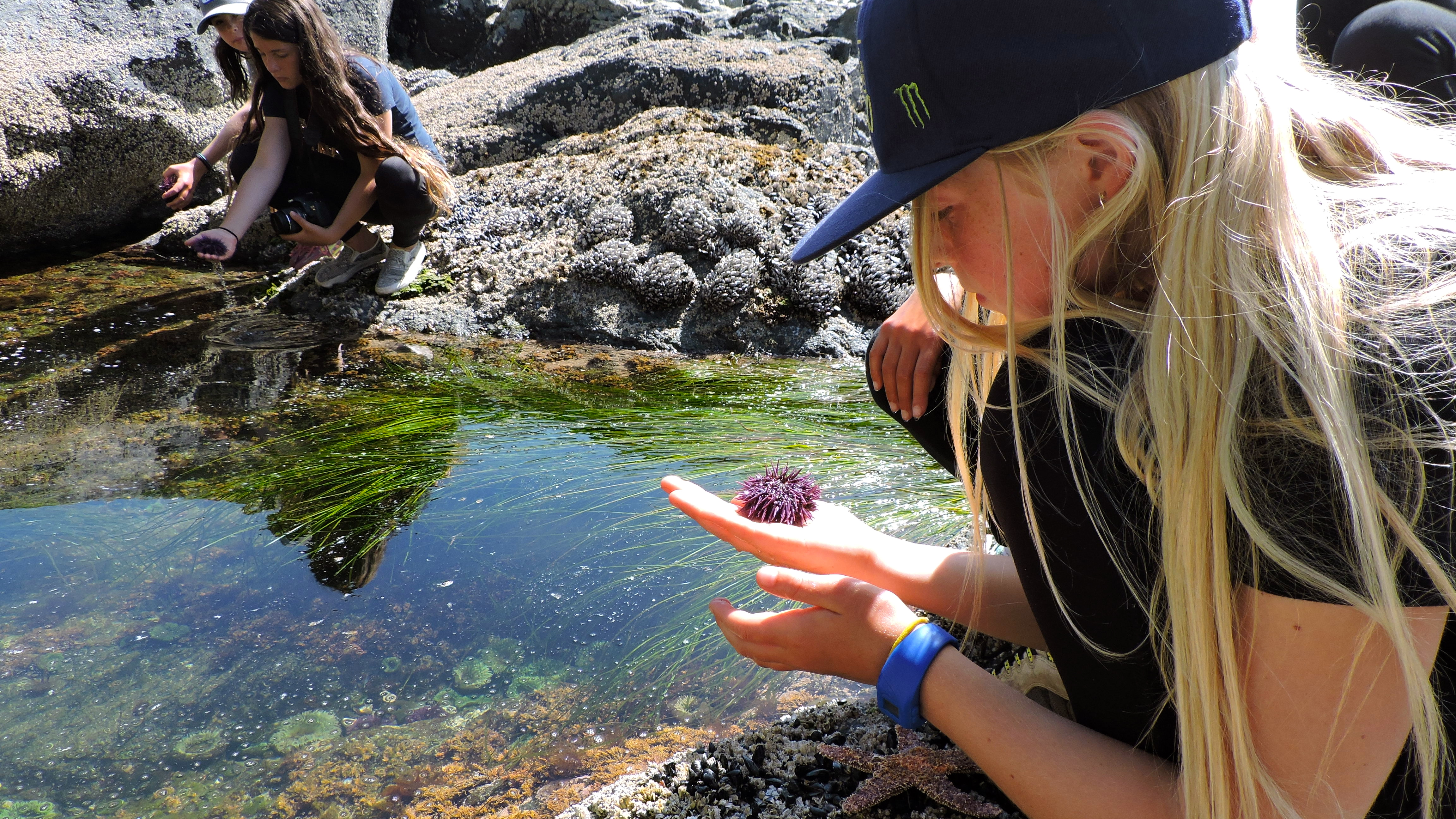 Girl holding a sea urchin