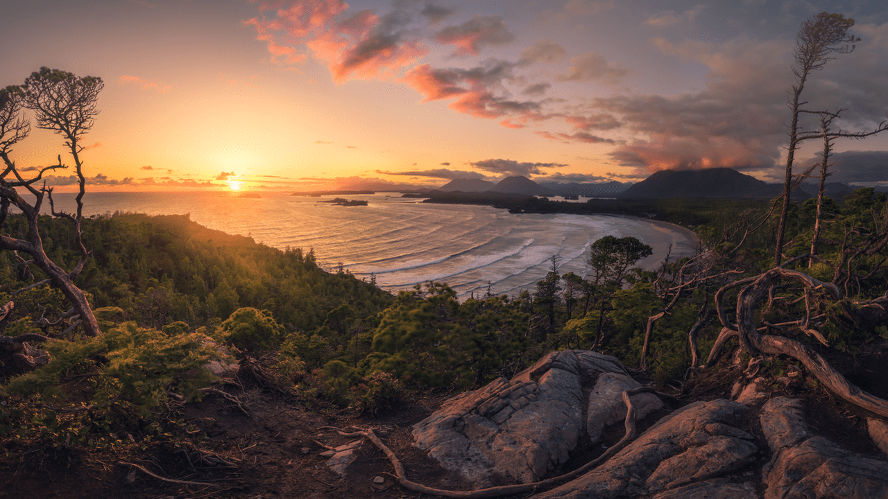 Shaun Stewart Capturing the Coast cox bay