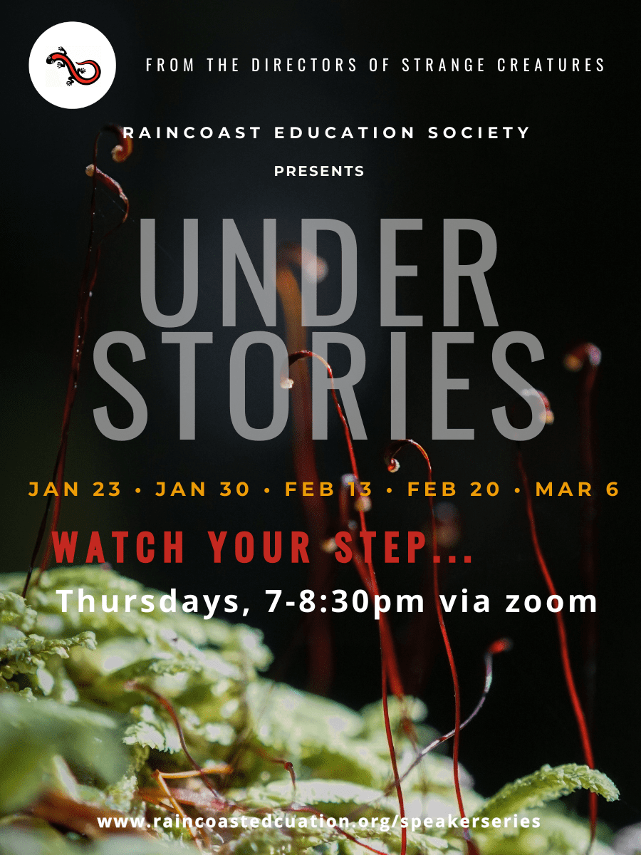 Under Stories for newsletter (2)