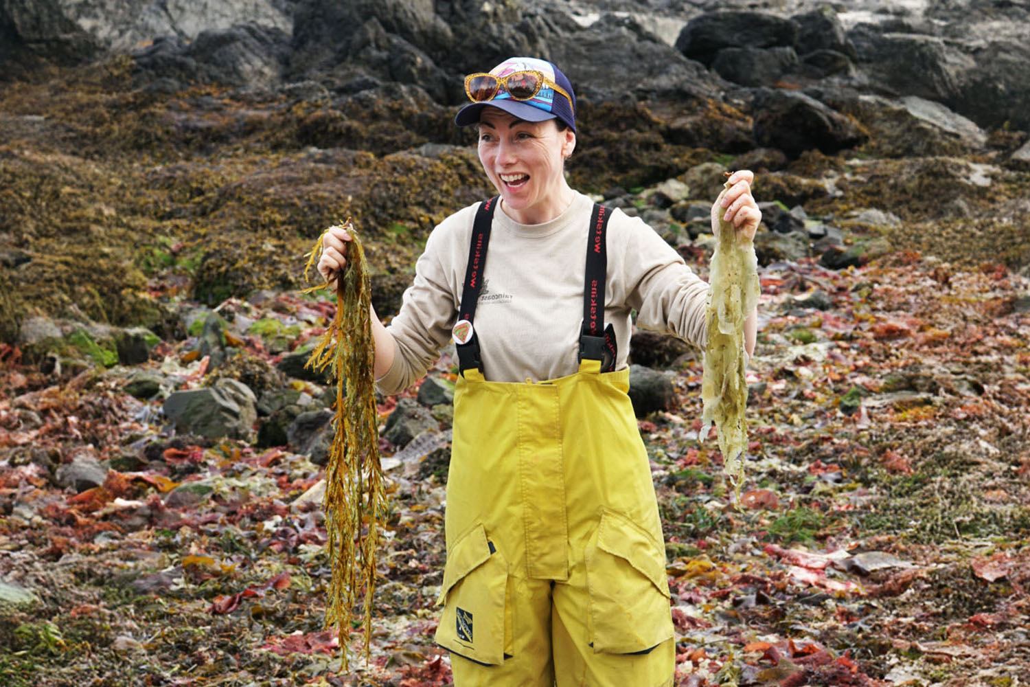 Seaweed Handfuls v2 PS1500