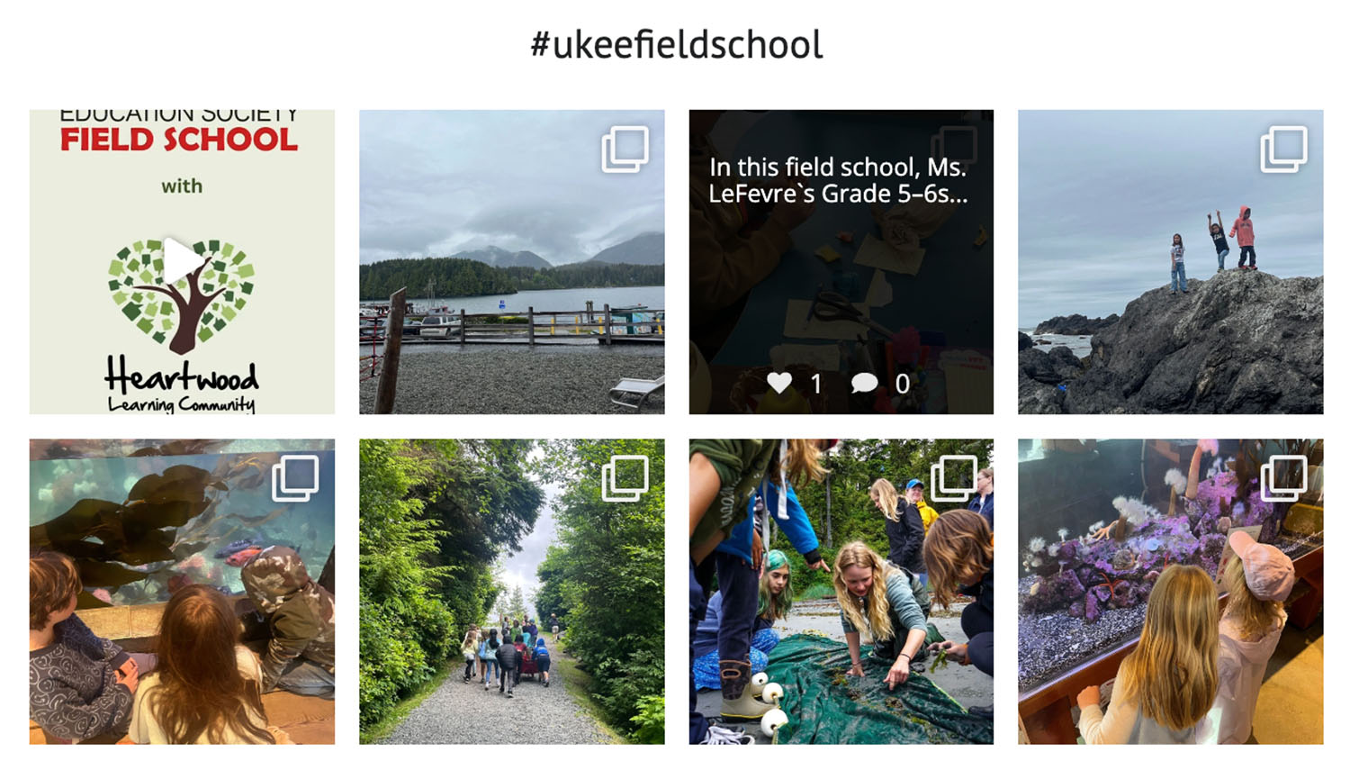 Ukee Field School IG PS1500