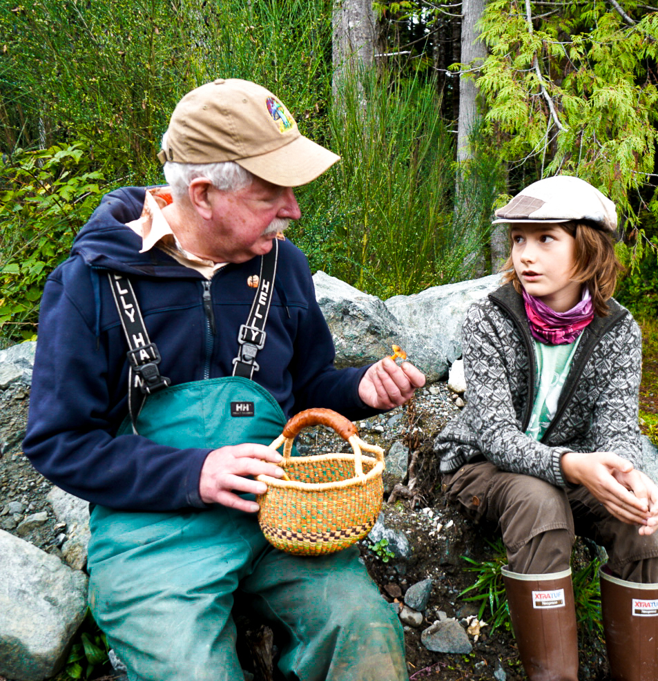 23- Mushrooms - Foraging995 _web?
