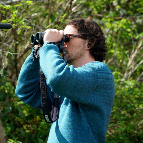 Birds 2023 Tami Belliveau 9811_crop